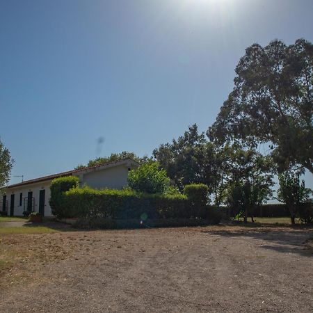Agriturismo I Gelsi Марина ди Гросето Екстериор снимка