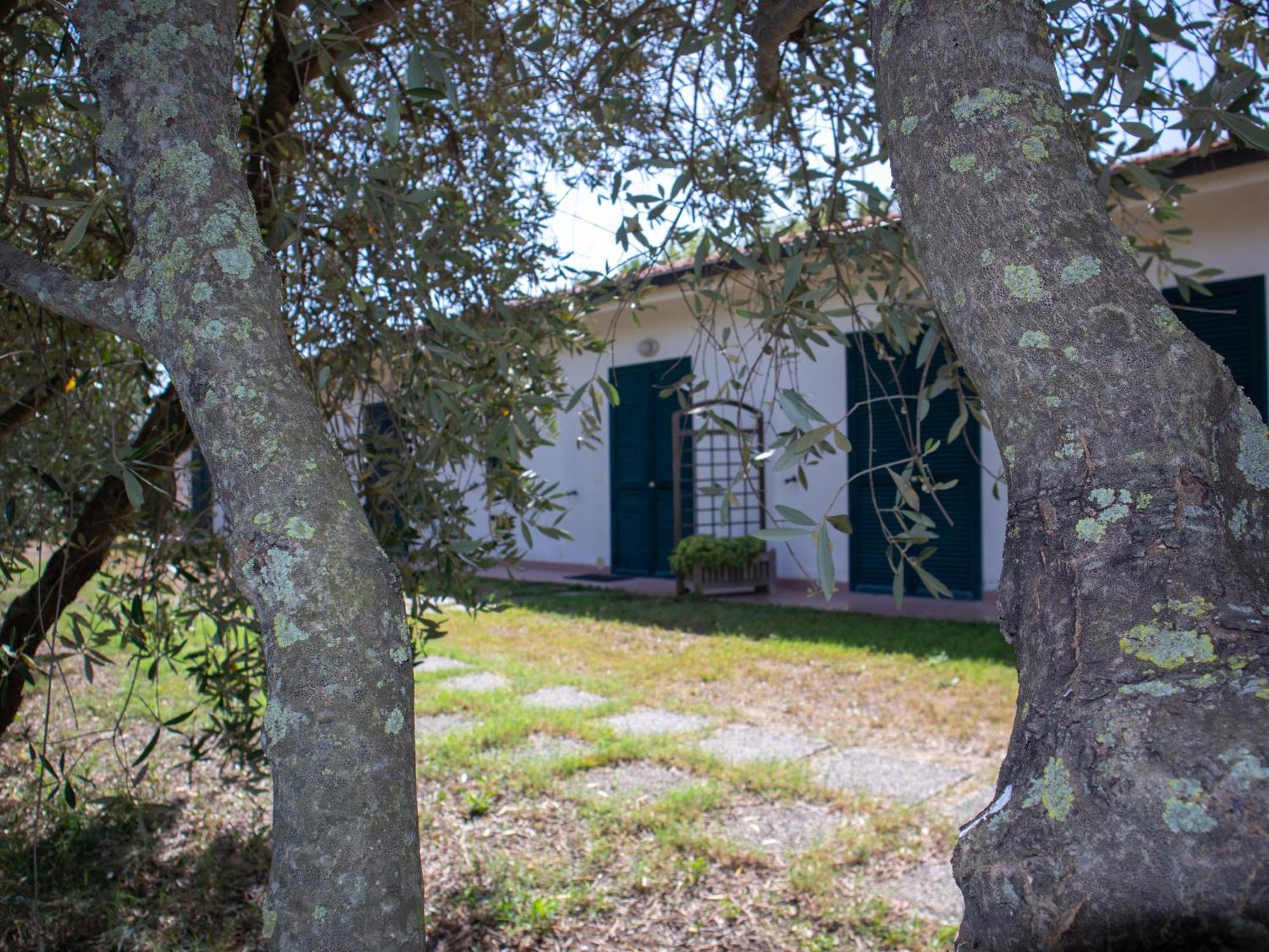Agriturismo I Gelsi Марина ди Гросето Екстериор снимка